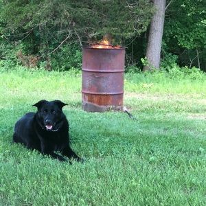 Meet your Posher, Jiles